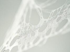 Macro photography of spider web adorned with morning dew drops glistening in soft sunlight against a natural blurred background photo