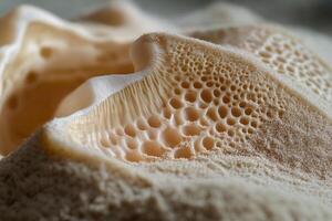 macro of a sea shell partially buried in golden beach sand during warm sunlight photo