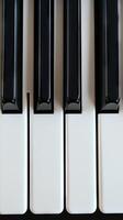 Close up of the keys of a piano photo