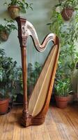 A harp sitting on a wooden floor in front of potted plants photo