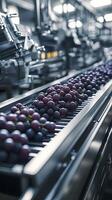 Automated Grape Processing Line - Efficient Fruit Handling photo