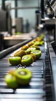 Kiwi Slices on a Conveyor Belt - Fresh Produce Processing photo
