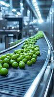Automated Fruit Processing Line - High-Tech Food Production photo