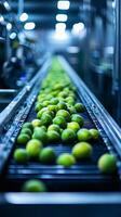 Automated Fruit Processing Line - Efficient Production photo