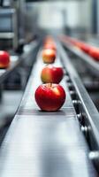 Fresh Apples on a Conveyor Belt in a Modern Food Processing Facility photo