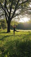 Peaceful Yoga Pose Under a Majestic Tree photo