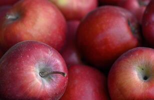 Fresh red apples clustered together in a vibrant display at a local farmers market photo