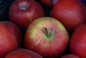 Vibrant apples piled together in a colorful display at a local market photo