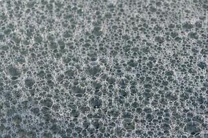Bubbles forming a delicate foam texture in soft sunlight on a calm water surface photo