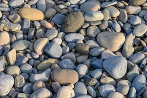 Stones and pebbles creating a textured mosaic on a serene beach at sunset photo