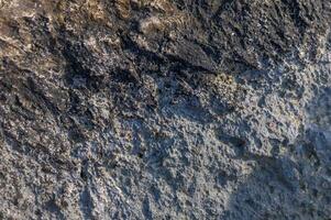 Close-up view of textured rock revealing intricate patterns under natural light photo