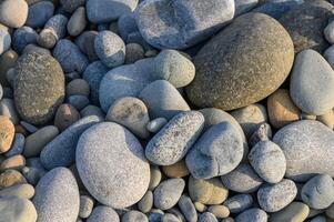 Textures of nature captured through a collection of smooth pebbles along a serene riverbank photo