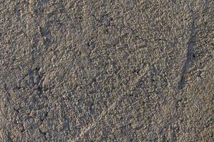 Surfaces of earth show intricate textures and patterns under natural light in rich tones of gray photo