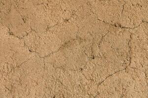 Exploring the natural texture and patterns of earthy soil in a sunlit outdoor setting photo