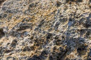 Intricate patterns form on a weathered rock surface in a serene natural landscape photo