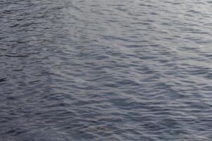 Rippling surface reflects soft light at sunset over tranquil waters photo