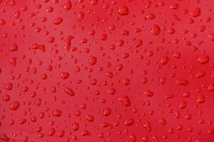 Raindrops create beautiful patterns on a vibrant red surface under soft lighting photo