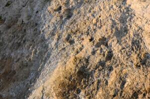 Textured surface of a rocky terrain showcasing intricate patterns in natural light during sunset photo
