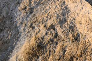 Textured stone surface captures light during golden hour near a tranquil riverbank photo