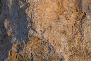 Close-up view of textured rock surface showcasing earthy tones and natural patterns under soft sunset light photo