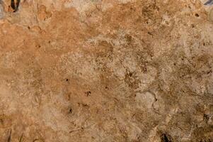 Exploration of ancient textures and patterns on weathered stone surfaces in nature photo