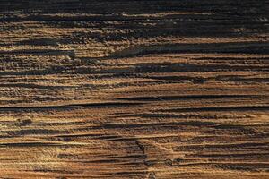 Textured wooden surface showcasing natural patterns illuminated by warm sunlight in a rustic setting photo