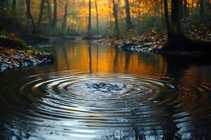 Tranquil Forest Stream with Autumn Foliage and Gentle Ripples at Sunset photo