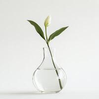Elegant white flower in clear glass vase with water on minimalist background photo