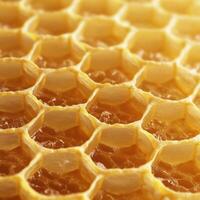 Beautiful close-up of honeycomb structure displaying intricate hexagonal patterns and golden honey deposits in warm light photo