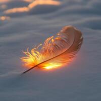 Feather resting on snow reflects golden sunlight at dawn by serene winter landscape photo