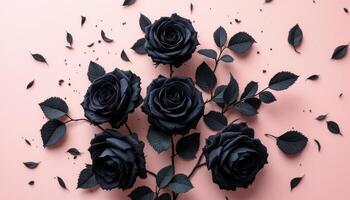 Elegant arrangement of black roses and leaves on a soft pink backdrop photo