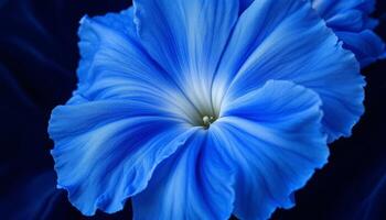 Azure Bloom, A close-up of a vibrant blue flower, its delicate petals unfurling against a dark backdrop photo