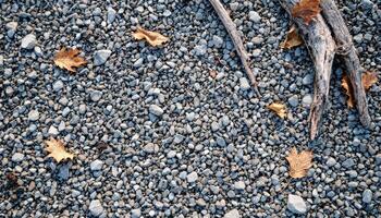 Autumn,s touch, Brown leaves scatter on grey gravel with rustic wood branches scattered about photo