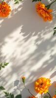 Golden Marigolds and Leafy Shadows Create a Sunny and Serene Composition photo