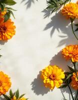 Golden marigold flowers with deep shadows creating a unique frame on white background photo