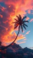 Palm silhouette against a vibrant sunset sky with textured clouds above a soft, hazy base photo
