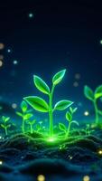 Glowing Seedlings in a Dark Field of Life with Magical Luminous Particles photo