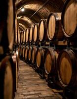 Aged oak barrels meticulously arranged in the depths of a dimly lit wine cellar photo