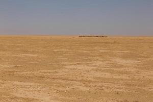 Expansive open landscape in Kunduz Province, Afghanistan during a clear day photo