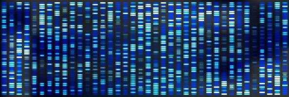 Genetic chromosome pattern with dna sequence map on background. X and y gene big data visualization illustration. Antibody research and analytics wallpaper. Human marker medicine forensic design. vector