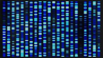 DNA sequence map with genetic data pattern. Abstract chromosome visualization for medical test and analysis. Science and biology bg graphic design with x and y genome evolution. Glitch wallpaper vector