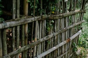 A weathered bamboo fence stands as a testament to time, creating a natural a photo