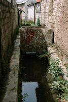 A small waterway flows through a narrow alley photo