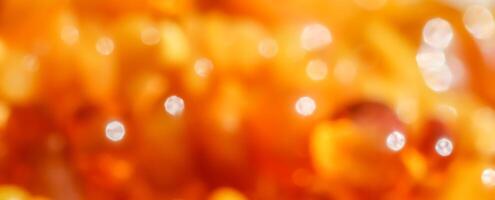 Bright colors amber, sunny light shining background, blurred the light of the bokeh shines photo