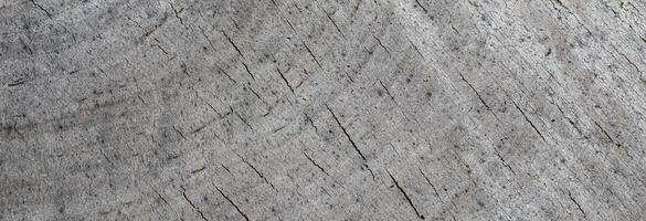 Background from a cross section of a tree trunk. Abstract texture from the rings of an old weathered stump photo