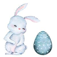 Watercolor easter rabbit.Bunny illustration.Cute fluffy grey rabbit embarrassed. vector