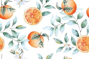 Seamless pattern of tangerines with watercolor on white background.Designed for fabric luxurious and wallpaper, vintage style.And flowers, stalks and leaves.Slice of orange.Citrus fruit. vector