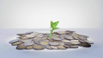 Sprout emerging from coins on white background video
