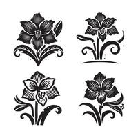 Amaryllis Silhouette Art for Nature Lovers and Botanical Graphics vector