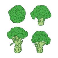 Color image of broccoli on a white background vector